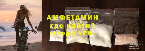 индика Кинешма