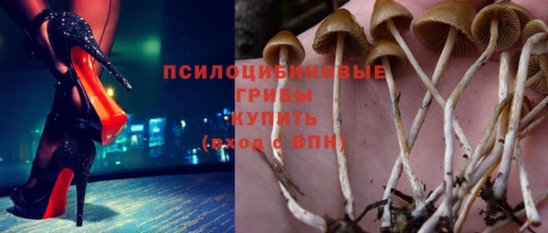 прущая мука Алексин