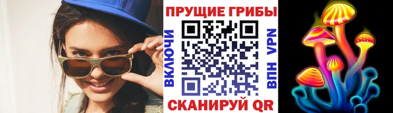 где купить   Сельцо  Псилоцибиновые грибы MAGIC MUSHROOMS 